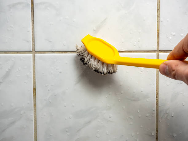 Best Health and Safety Mold Remediation in Jasper, FL